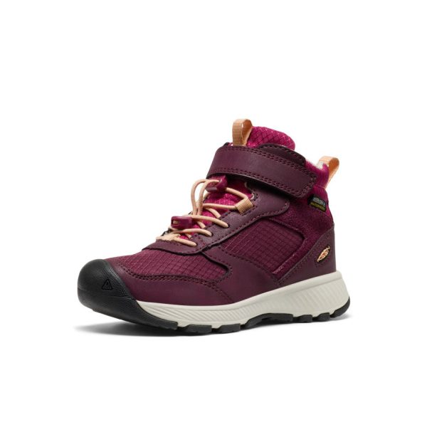 Little Kids' Skua Waterproof Boot  |  Fig/Peach Fuzz