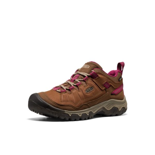 Women's Targhee IV Waterproof Hiking Shoe  |  Bison/Beaujolais