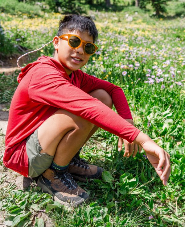 Big Kids' Targhee IV Waterproof Hiking Boot  |  Bison/Brindle