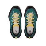Big Kid's Jasper Zionic Sneaker  |  Mediterranea/Cabbage